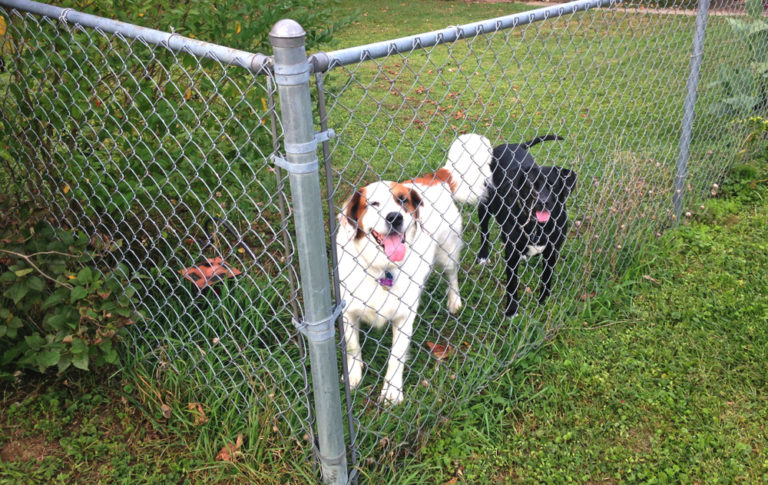 Chain Link Fencing Installers In Turnersville NJ Fence USA   Shutterstock 785206939 768x485 